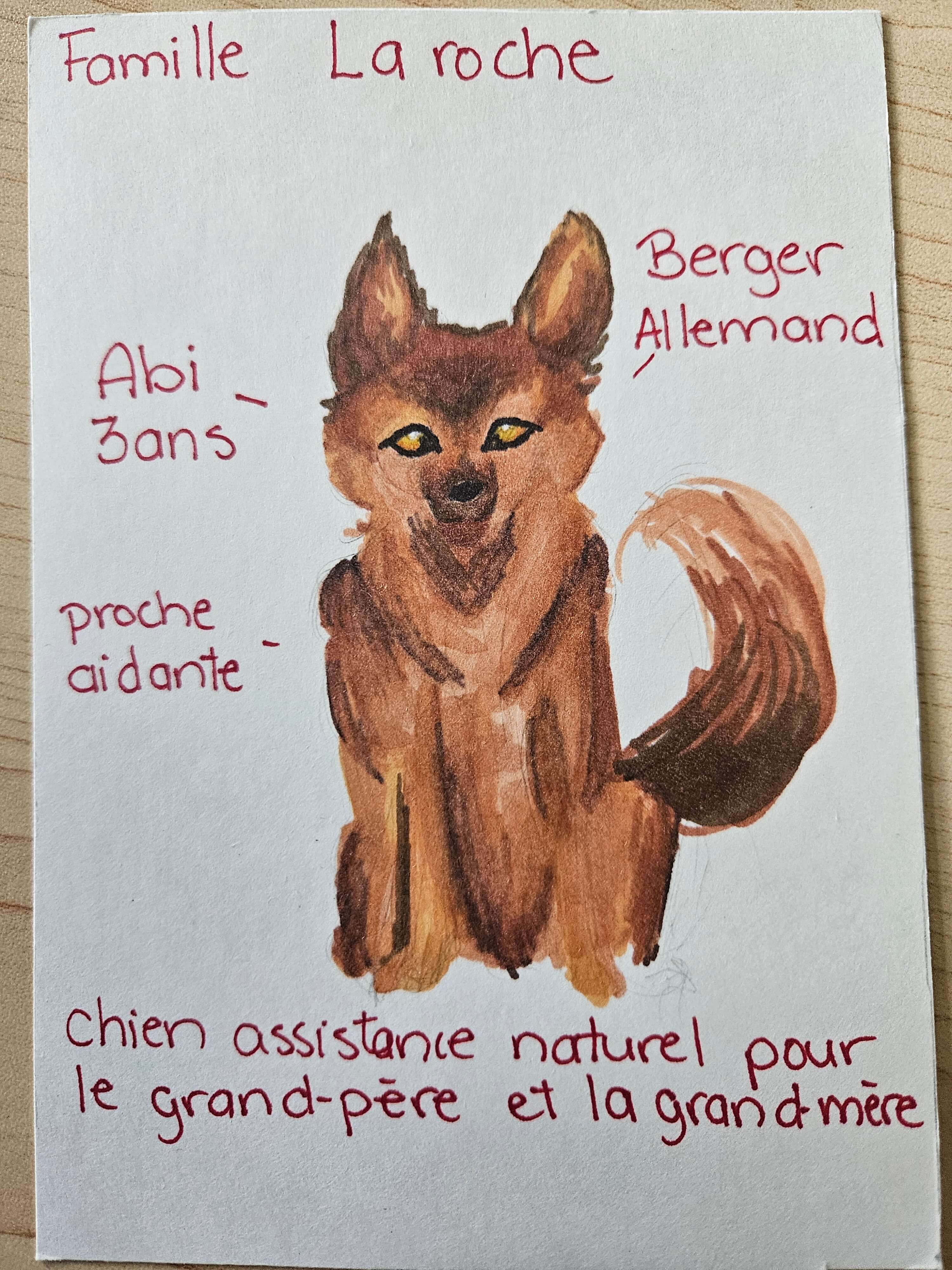 image dessin Famille LaRoche 5